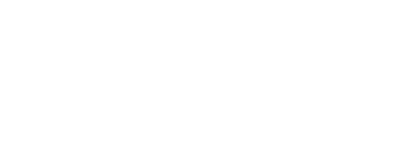 Logo IONET